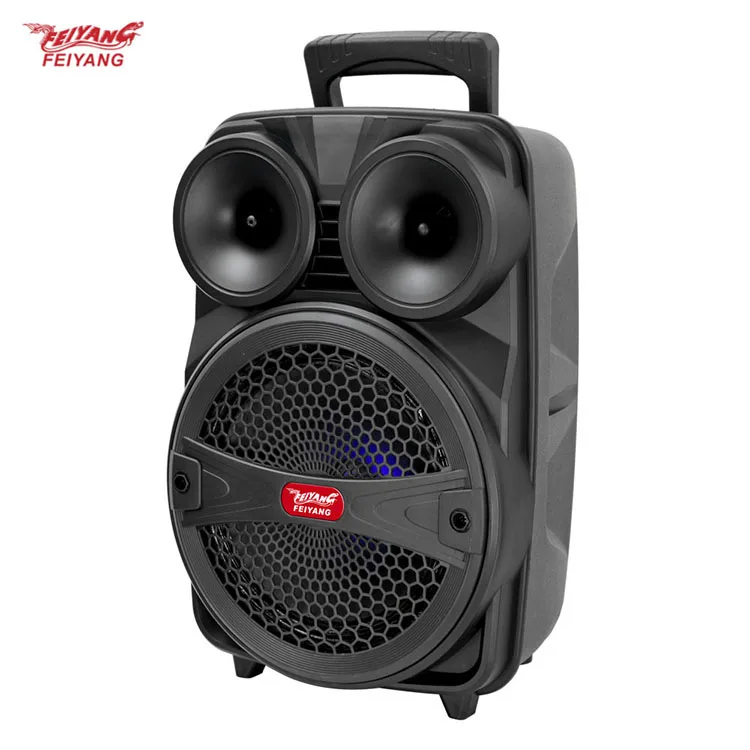 feiyang 8 inch portable rechargeable outdoor active speaker with plastic case - ANKUX Tech Co., Ltd