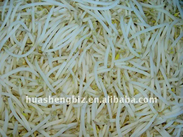 iqf mung bean sprouts in frozen mung bean sprouts