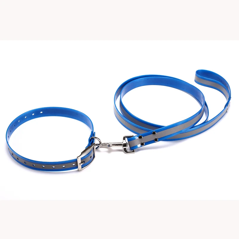 dog leash 2 handles