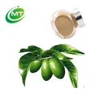 40%Oleuropein Olive Leaf Extract/Olive Leaf Extract Oleuropein 25%/Dried Olive Leaf Powder