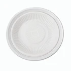 Cheap disposable food blister PP plastic take away plate