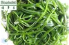 /product-detail/wholesale-chinese-dried-seaweed-laminaria-cut-fresh-seaweed-factory-supplier-60426736028.html