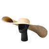 /product-detail/women-wide-brim-straw-panama-hat-roll-up-hat-fedora-beach-sun-hat-60829953196.html