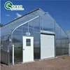 Korean Greenhouse Hydroponic Single-Span Greenhouse Roofing Plastic For Sale