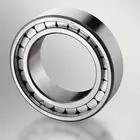 Full Complement Cylindrical Roller Bearing SL185008 Russian