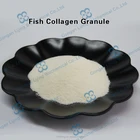Factory Supply Fish Collagen Granule Raw Materials