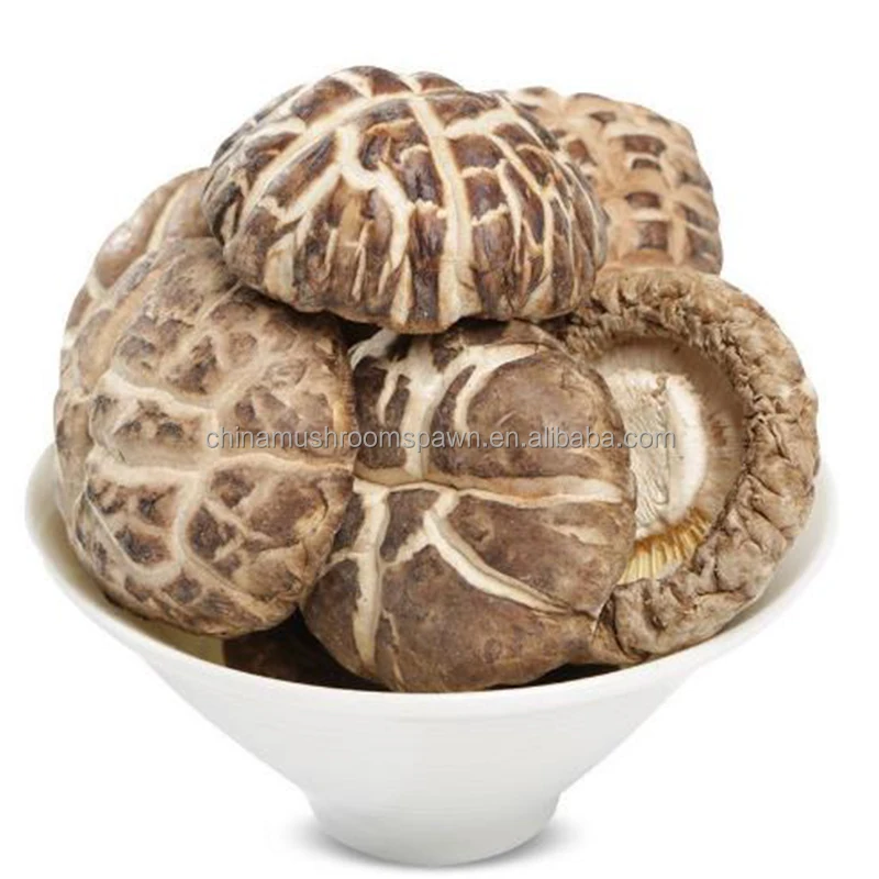 Chinese Shitake Xianggu Cultivated Wild And Natural Mushrooms