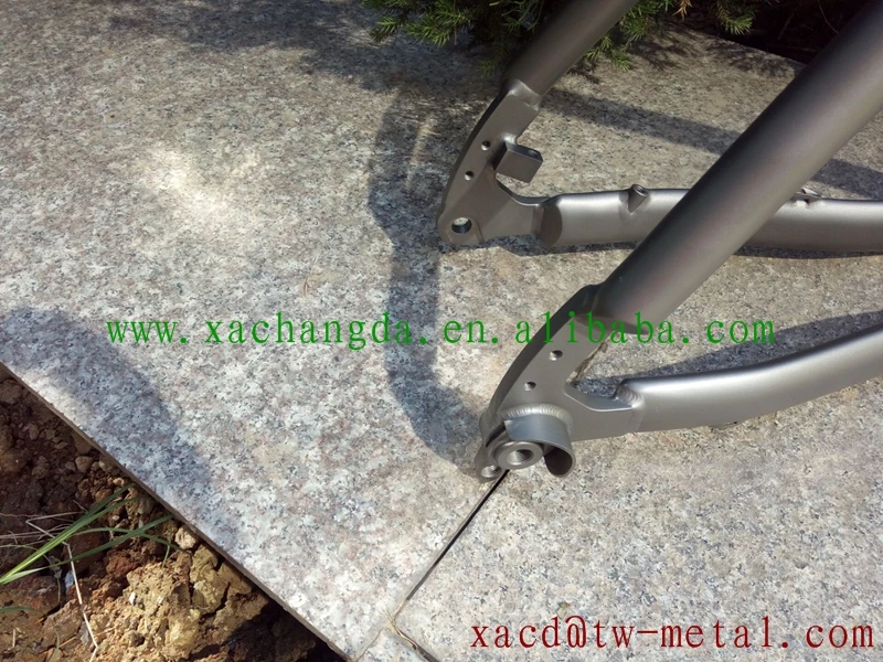 mtb bike02.jpg
