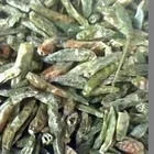 green hot chili powder grade 1 green chilli powder red chili powder
