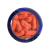 /product-detail/sports-supplements-blue-star-nutraceuticals-blade-body-fat-burner-capsules-62177426900.html