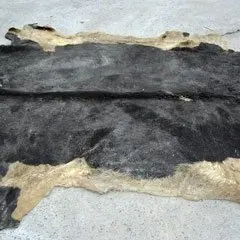 are raw hides safe