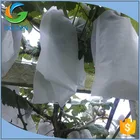 agricultural bags use pp non woven fabric rolls/nonwoven fabric agriculture protective bag/protective bag for banana