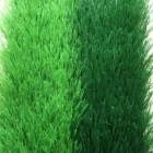 Artificial Lawn 50mm Bi-color High Quality Artificial Football Lawn For Soccer Field