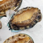 abalone farm wholesale 4x6cm frozen abalone with shell SHELLFISH