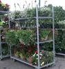 Flower shop cart wooden display flower rack