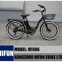 500W 48V High Quality Disc Brakes