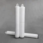 mini water treatment system with PP membrane filter