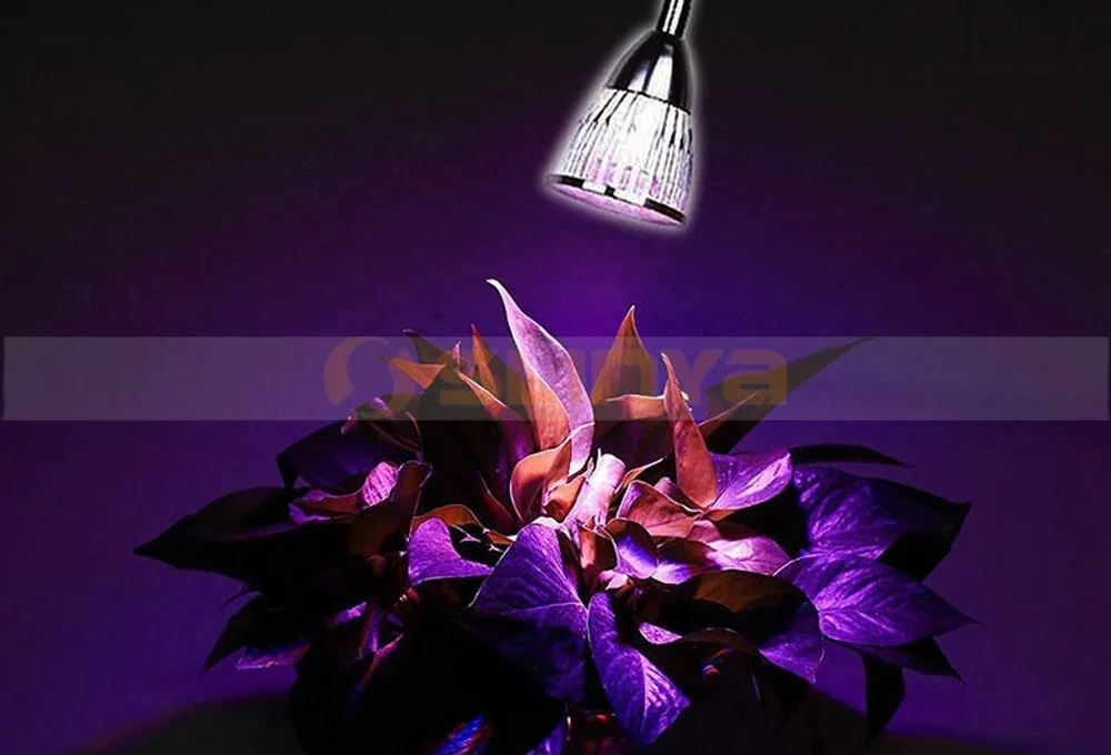 Clip plant lamp 8035 170310 (16).jpg