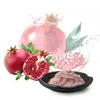 Natrual and fresh grenadine extract powder for soft drink/food grade extracted pomegranate powder/spray dried popegranate powder