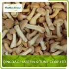 Fresh mushroom fresh frozen mushroom frozen nameko