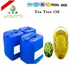 Pure Tea Tree Essential Oil Natural Plant Leaf Extraction Shampoo Oil With Wholesale Price