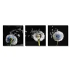 small lovely dandelion 3d paintings fashionable colorful 3 pieces pictures oil paintings