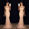 2019 Latest Sexy Fashion Beautiful cocktail Party Dress Evening Dress Night Gown Lady bridesmaid dress For Fat Women