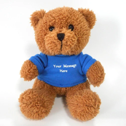 teddy bear with custom message