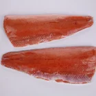 FROZEN MSC CHUM SALMON FILLETS
