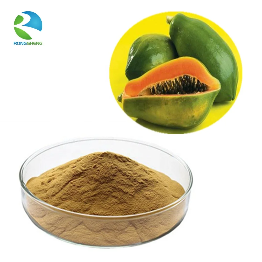 Großhandel Reine Bio Carica Papaya Leaf Extract