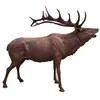 /product-detail/outdoor-decoration-life-size-bronze-deer-sculpture-601264639.html