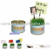 /product-detail/can-grass-tin-can-grass-seeds-in-a-tin-242543567.html