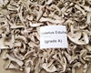 /product-detail/dried-mushroom-boletus-price-1435772484.html