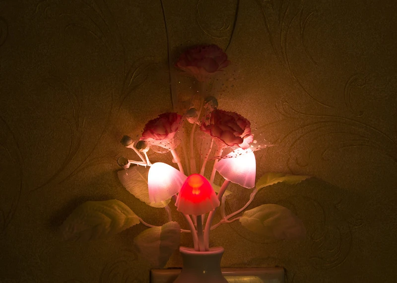 night light  (7)