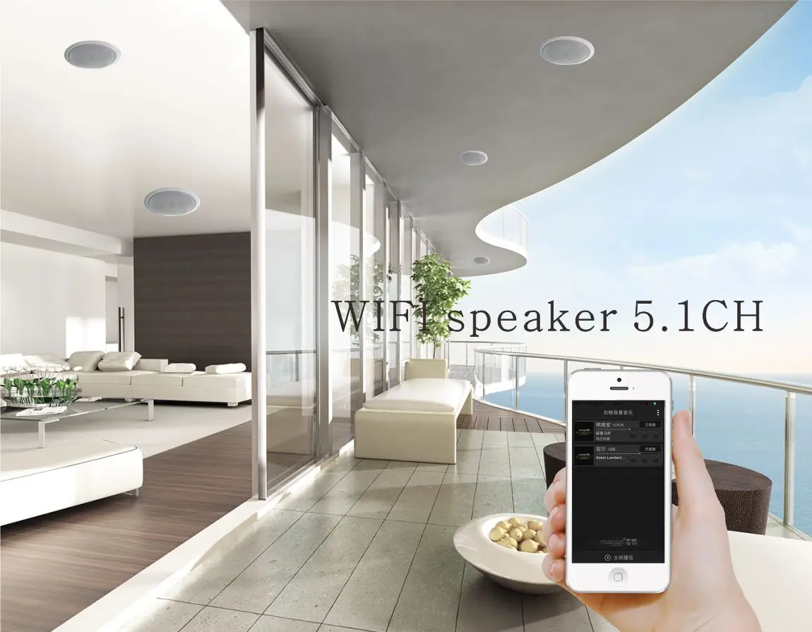 high quality WIFI ceiling speaker 10W to 100W and bluetooth ceiling speaker manufacturer - ANKUX.COM