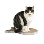 Natural Cat Toy Fish Durable Cat Scratcher