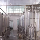 Hot Sale Butter Milk Yogurt and Cheese Processing Line