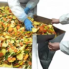 Chips Healthy Snacks Crispy Dried Mixed Vegetables VF Chips