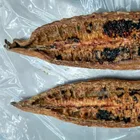 Roasted Factory Price High Quality Sushi Fresh Eel Fish Frozen