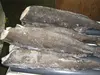 /product-detail/frozen-black-cod-or-sablefish-hg-144214248.html