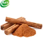 Hot sales Chinese manufacture 10:1 Cinnamon Powder