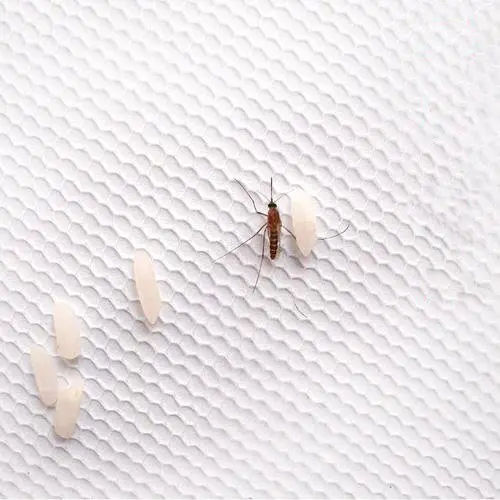 DIY Insect Fly Bug Mosquito Door Window Net Mesh Screen Curtain Protector Flyscreen Worldwide Free Shipping