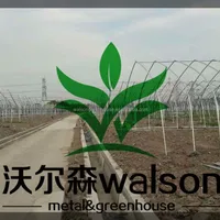 Hoop Greenhouse Agricultural Greenhouse1 Polytunnel Garden