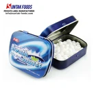 Private Label Xytlitol Mint Candy In Small Hinged Tin Box OEM Sweets