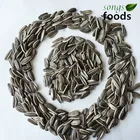 Chinese High Quality Sunflower Seeds