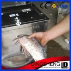 Fish Scale peeling machine/marine scaling machine/fish processing machine