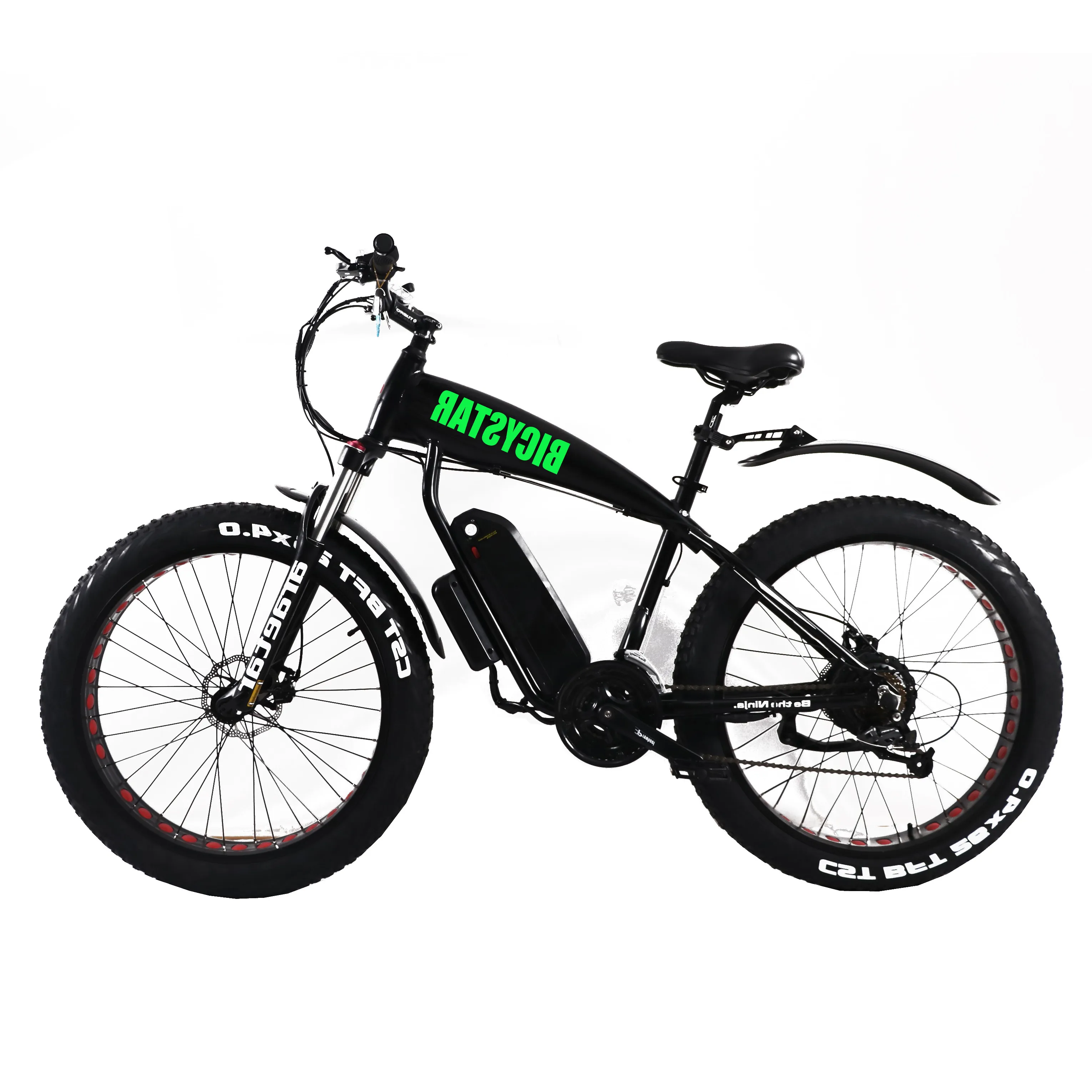 electric bicycle low price