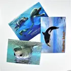 Promotion3d lenticular postcard printing of lovely animals from wholesales factory in China