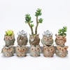 Various Choose Hot Sale Small Artificial Plant Pots Mini Succulent Ceramic Owl Flower Pot