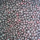 High Brix Berries Fruit Ribes Nigrum IQF Frozen Black Currant